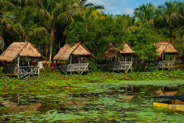 Malerischer Blick auf den See mit Seerosen und Palmen, ein kleiner Pavillon mit Strohdach. borneo, malaysien — Stockfoto