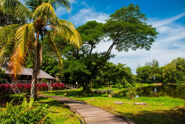 Traditionelle Holzhäuser im kuching to sarawak Kulturdorf. borneo, malaysien — Stockfoto