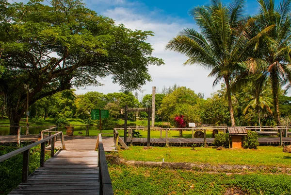 Die Straße ist aus Holz und führt zum Kulturdorf Sarawak. borneo, malaysien — Stockfoto