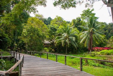 Yolun Sarawak kültür köye Kuching odundan yapılmış demektir. Borneo, Malezya