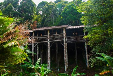 Traditional wooden houses Rumah Orang Ulu Kuching to Sarawak Culture village. Malaysia
