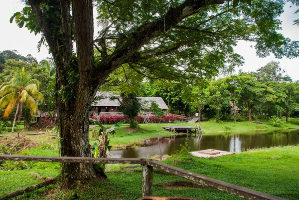 Traditionelle Holzhäuser. Landschaft mit Bäumen und einem See. Kuching zu Sarawak Kulturdorf. Malaien — Stockfoto