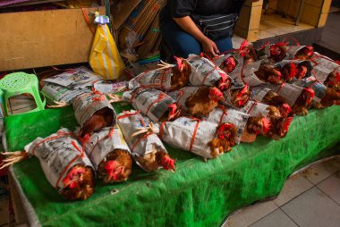 Tavuk Sibu Merkez pazarında pazar ekranda eski gazete ile sarılmış. Sibu Sarawak Malezya