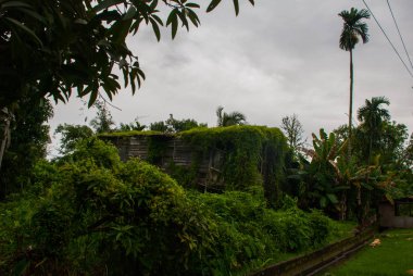 Kötü ahşap ev yeşil bitkiler ile büyümüş, şehir Bintulu, Borneo, Sarawak, Malezya.