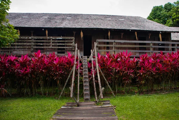 Παραδοσιακά ξύλινα σπίτια και θάμνοι κόκκινου χρώματος. Ο Ιμπάν είναι ο Κουτσίνγκ προς το πολιτιστικό χωριό Σαραάκ. Μαλαισία — Φωτογραφία Αρχείου