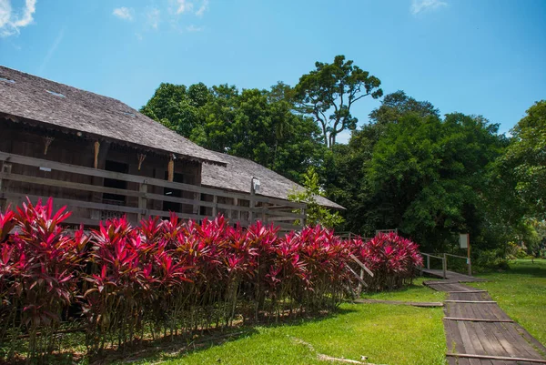 Traditionelle Holzhäuser und Sträucher in roter Farbe. iban longhouse kuching to sarawak culture village. Malaien — Stockfoto