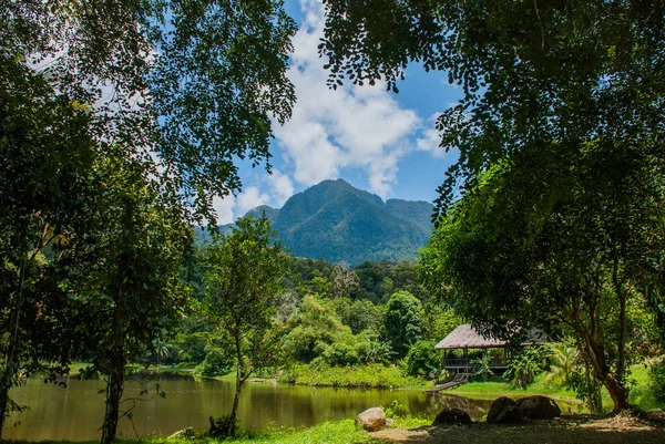 Tradycyjnych, drewnianych domów w Kuching do wsi Sarawak kultury. Borneo, Malezja — Zdjęcie stockowe