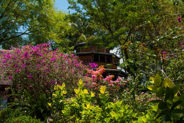 Traditionella trähus i Kuching Sarawak kultur Village. Malaysia — Stockfoto