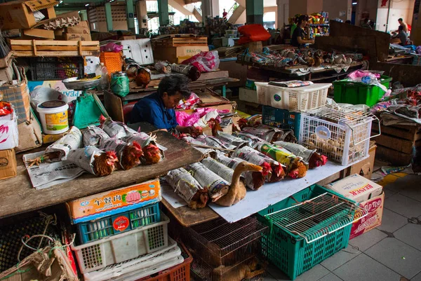 Frango embrulhado com jornal antigo em exibição no mercado central de Sibu. Sibu Sarawak Malásia — Fotografia de Stock