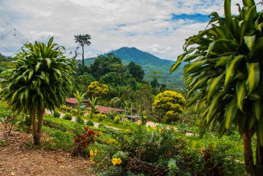 Ufukta dağların Panorama görünümü. Borneo adasında manzara. Sabah, Malezya.