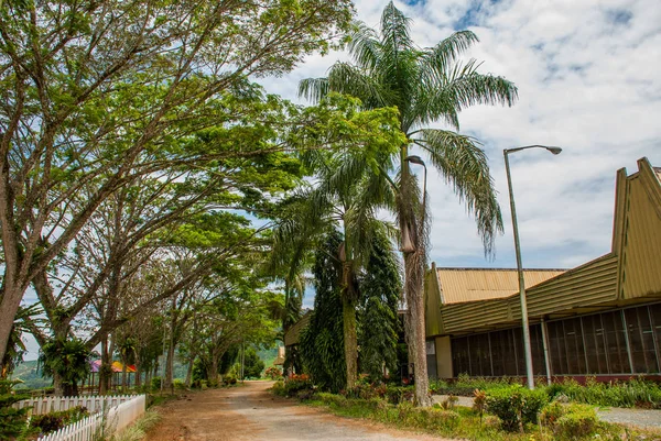 Budynek malezyjskiej fabryki herbaty. Sabah. Borneo — Zdjęcie stockowe