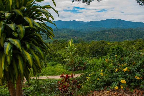Ufukta dağların Panorama görünümü. Borneo adasında manzara. Sabah, Malezya.