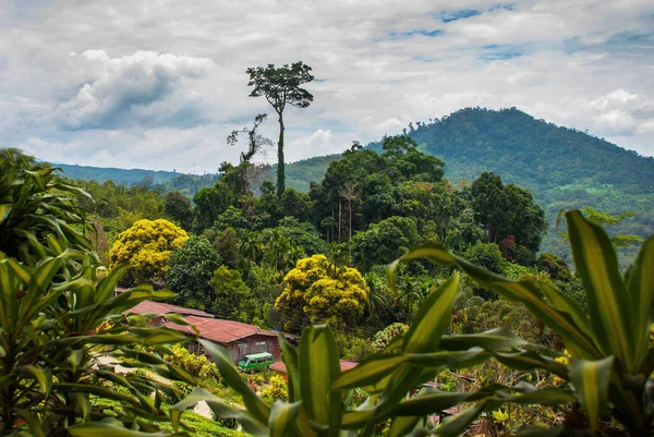Ufukta dağların Panorama görünümü. Borneo adasında manzara. Sabah, Malezya.