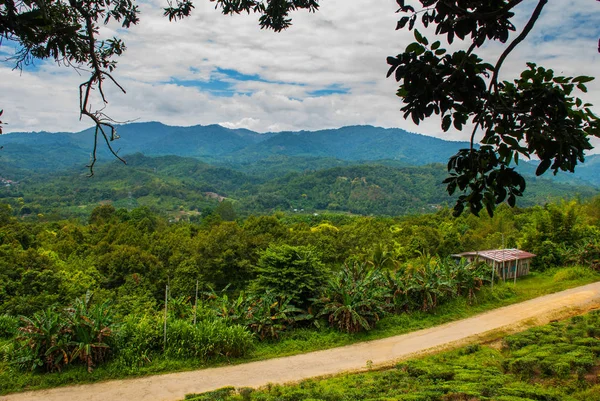 De panorama weg tussen groene struiken en bomen in de afstands bergen. Het landschap op het eiland Borneo. Sabah, Maleisië. — Stockfoto