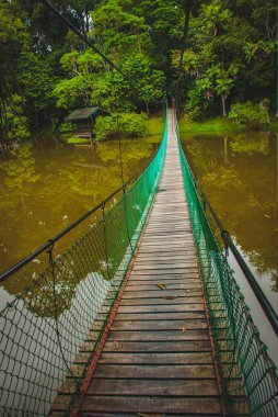 Göl, Borneo, Sabah, Malezya üzerinden asma köprü
