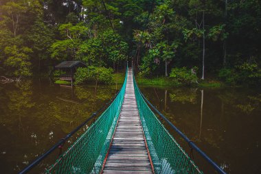 Göl, Borneo, Sabah, Malezya üzerinden asma köprü