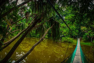 Göl, Borneo, Sabah, Malezya üzerinden asma köprü