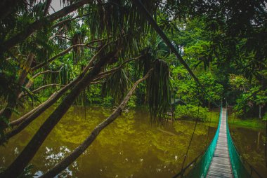 Göl, Borneo, Sabah, Malezya üzerinden asma köprü
