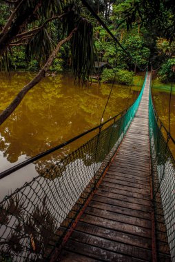 Göl, Borneo, Sabah, Malezya üzerinden asma köprü