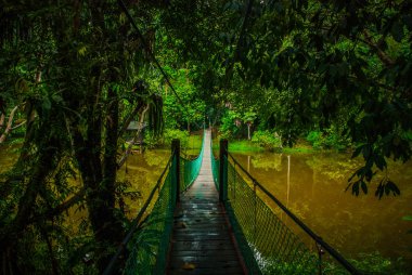 Göl, Borneo, Sabah, Malezya üzerinden asma köprü