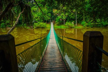 Göl, Borneo, Sabah, Malezya üzerinden asma köprü