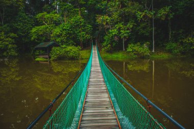 Göl, Borneo, Sabah, Malezya üzerinden asma köprü