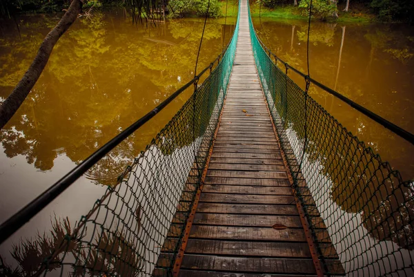 The suspension bridge over the lake, Borneo, Sabah, Malaysia — Stock Photo, Image