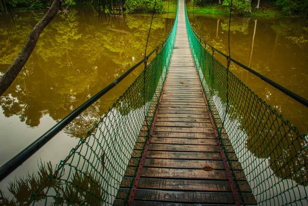 The suspension bridge over the lake, Borneo, Sabah, Malaysia — Stock Photo, Image