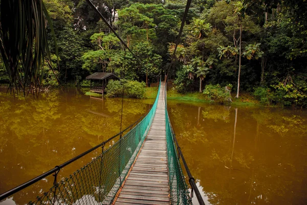 Göl, Borneo, Sabah, Malezya üzerinden asma köprü