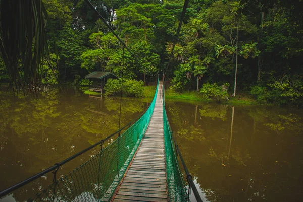 Göl, Borneo, Sabah, Malezya üzerinden asma köprü