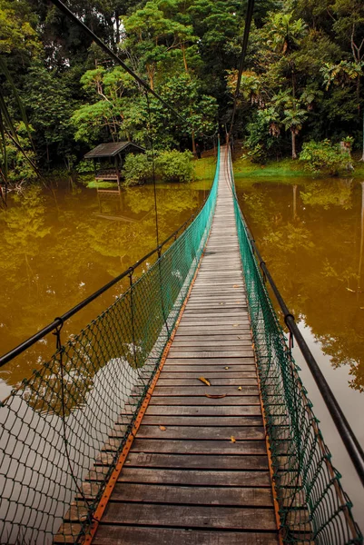 Göl, Borneo, Sabah, Malezya üzerinden asma köprü