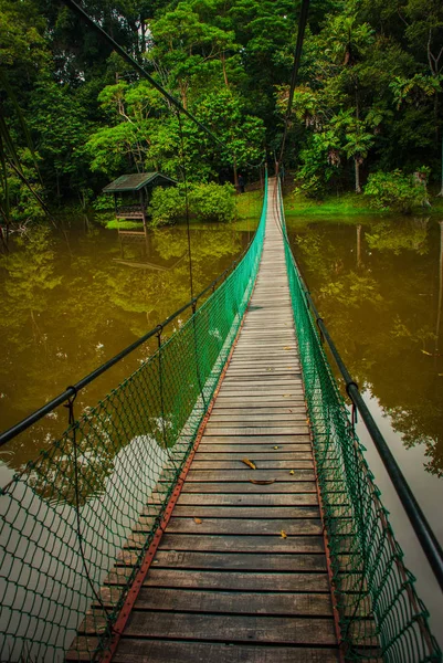 Göl, Borneo, Sabah, Malezya üzerinden asma köprü