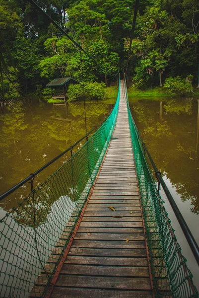 Göl, Borneo, Sabah, Malezya üzerinden asma köprü