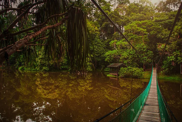 Göl, Borneo, Sabah, Malezya üzerinden asma köprü