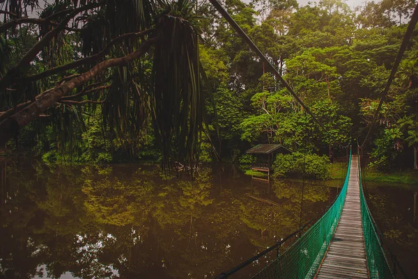 Göl, Borneo, Sabah, Malezya üzerinden asma köprü
