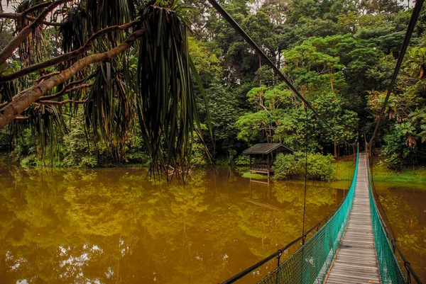 Göl, Borneo, Sabah, Malezya üzerinden asma köprü