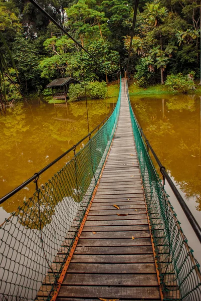 Göl, Borneo, Sabah, Malezya üzerinden asma köprü