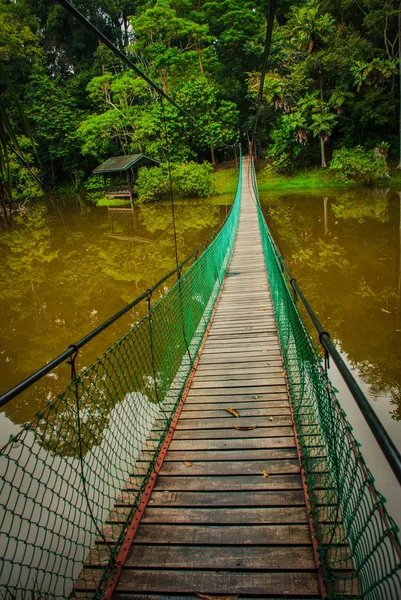 Il ponte sospeso sul lago, Borneo, Sabah, Malesia — Foto Stock