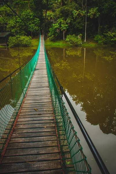 The suspension bridge over the lake, Borneo, Sabah, Malaysia — Stock Photo, Image