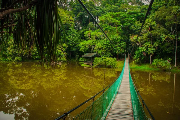 Göl, Borneo, Sabah, Malezya üzerinden asma köprü