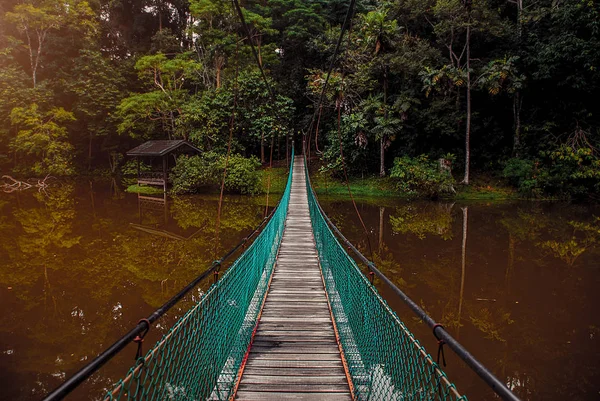 Göl, Borneo, Sabah, Malezya üzerinden asma köprü