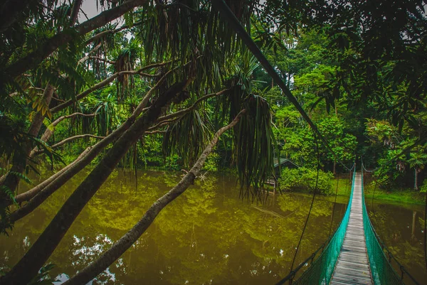 Göl, Borneo, Sabah, Malezya üzerinden asma köprü