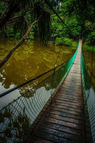Le pont suspendu sur le lac, Bornéo, Sabah, Malaisie — Photo