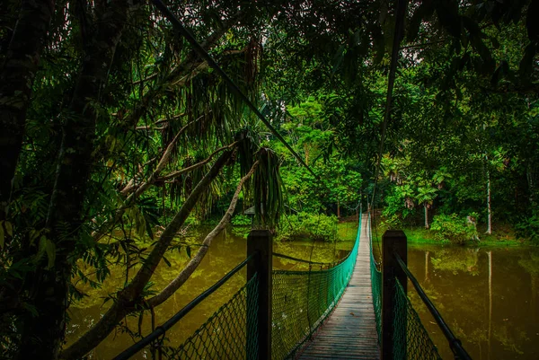 Göl, Borneo, Sabah, Malezya üzerinden asma köprü