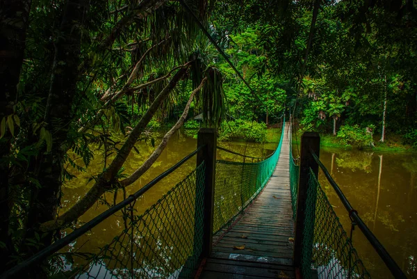 Göl, Borneo, Sabah, Malezya üzerinden asma köprü