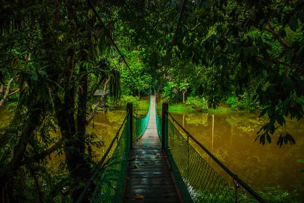 Göl, Borneo, Sabah, Malezya üzerinden asma köprü