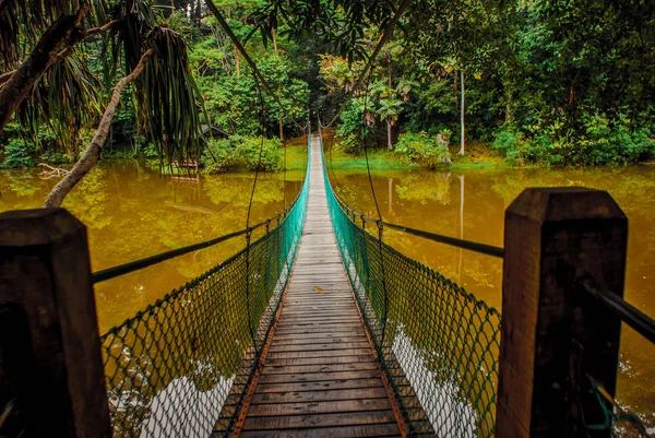 Göl, Borneo, Sabah, Malezya üzerinden asma köprü