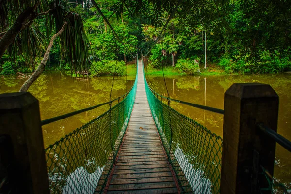 Göl, Borneo, Sabah, Malezya üzerinden asma köprü