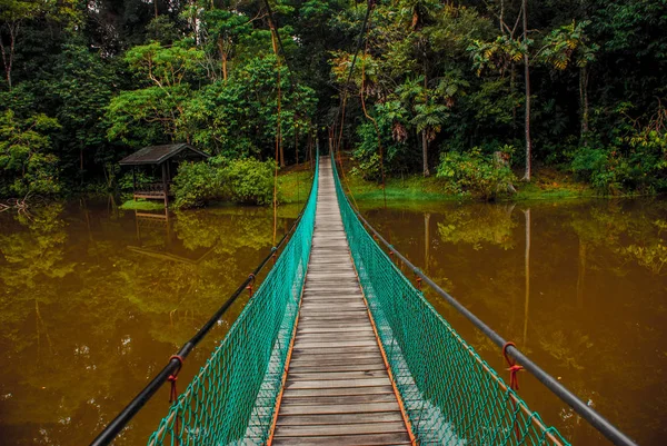 Göl, Borneo, Sabah, Malezya üzerinden asma köprü