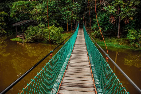 Göl, Borneo, Sabah, Malezya üzerinden asma köprü